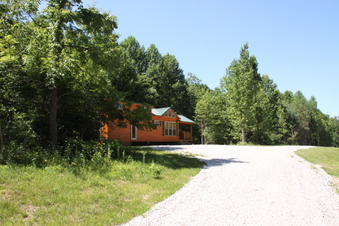 Enlarge photo 66