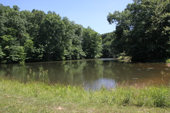 Enlarge photo 73