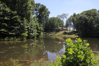 Enlarge photo 74