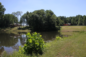 Enlarge photo 77