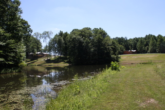 Enlarge photo 78