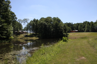 Enlarge photo 79