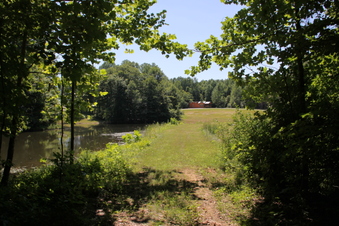 Enlarge photo 82