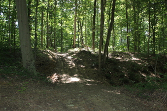 Enlarge photo 87
