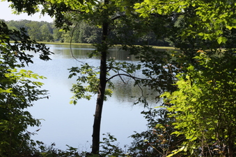 Enlarge photo 91