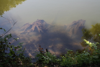 Enlarge photo 92