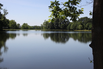 Enlarge photo 93