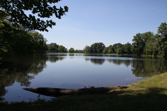 Enlarge photo 95