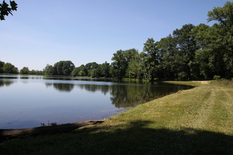 Enlarge photo 96