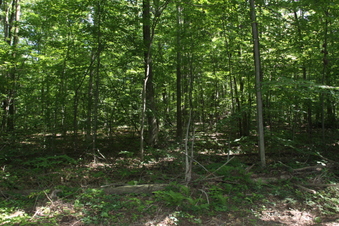 Enlarge photo 98