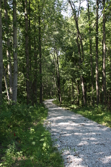 Enlarge photo 105