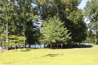 Enlarge photo 112