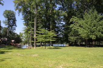 Enlarge photo 113
