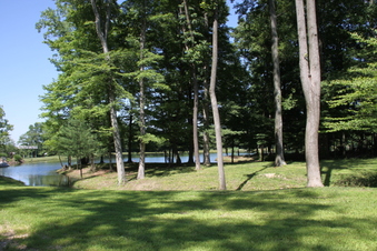 Enlarge photo 122