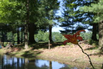 Enlarge photo 123