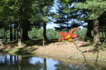 Enlarge photo 124