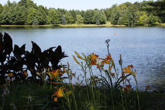 Enlarge photo 128