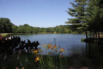 Enlarge photo 129