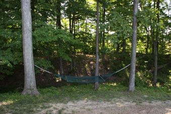 Enlarge photo 130