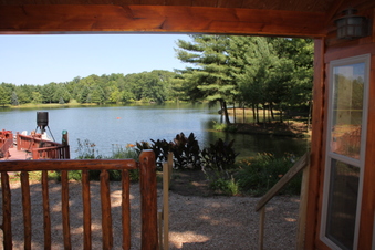 Enlarge photo 131