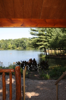 Enlarge photo 132