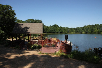 Enlarge photo 133