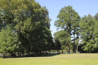 Enlarge photo 142
