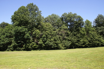 Enlarge photo 143