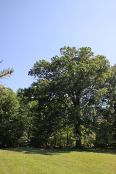 Enlarge photo 146