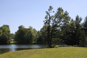 Enlarge photo 149