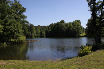 Enlarge photo 153