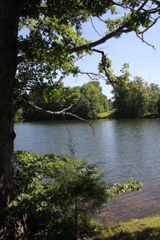 Enlarge photo 154