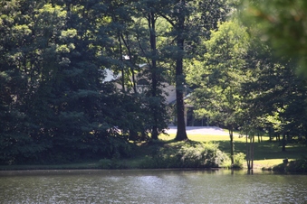 Enlarge photo 155