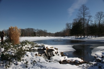 Enlarge photo 160