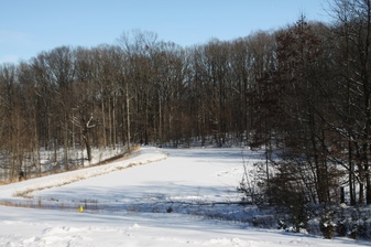 Enlarge photo 171