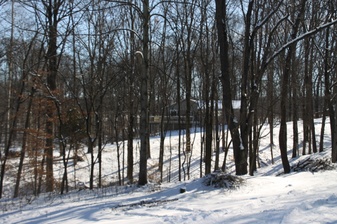 Enlarge photo 172