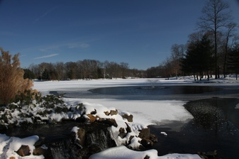 Enlarge photo 175
