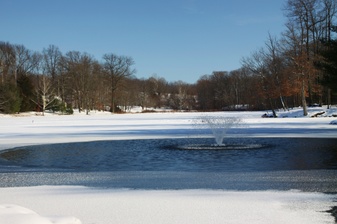 Enlarge photo 176