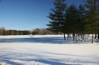 Enlarge photo 183