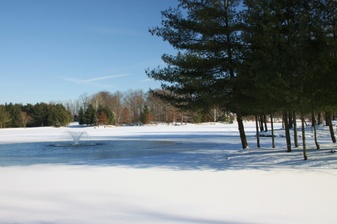 Enlarge photo 184