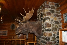 Enlarge photo 29