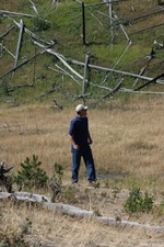 Enlarge photo 8