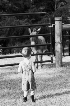 Enlarge photo 53