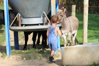 Enlarge photo 61