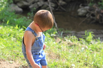 Enlarge photo 75