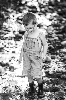 Enlarge photo 84