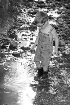 Enlarge photo 89