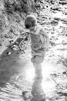 Enlarge photo 95