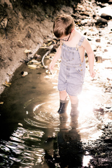 Enlarge photo 99