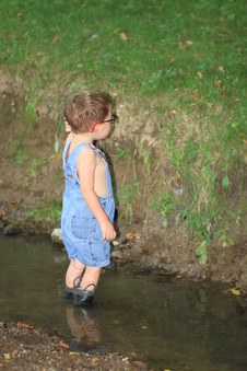 Enlarge photo 110